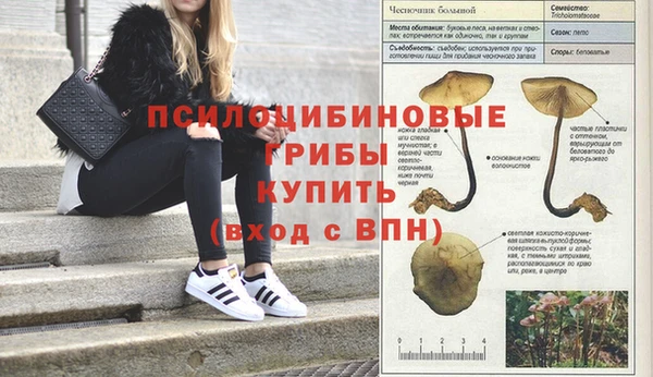бутик Бронницы