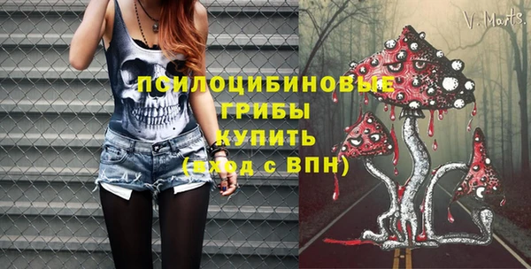 СК Белокуриха
