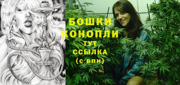 СК Белокуриха