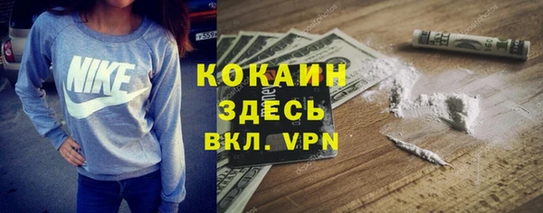 дживик Балахна